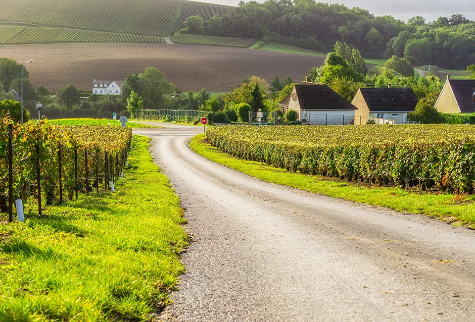 S&eacute;jour gastronomique en Champagne