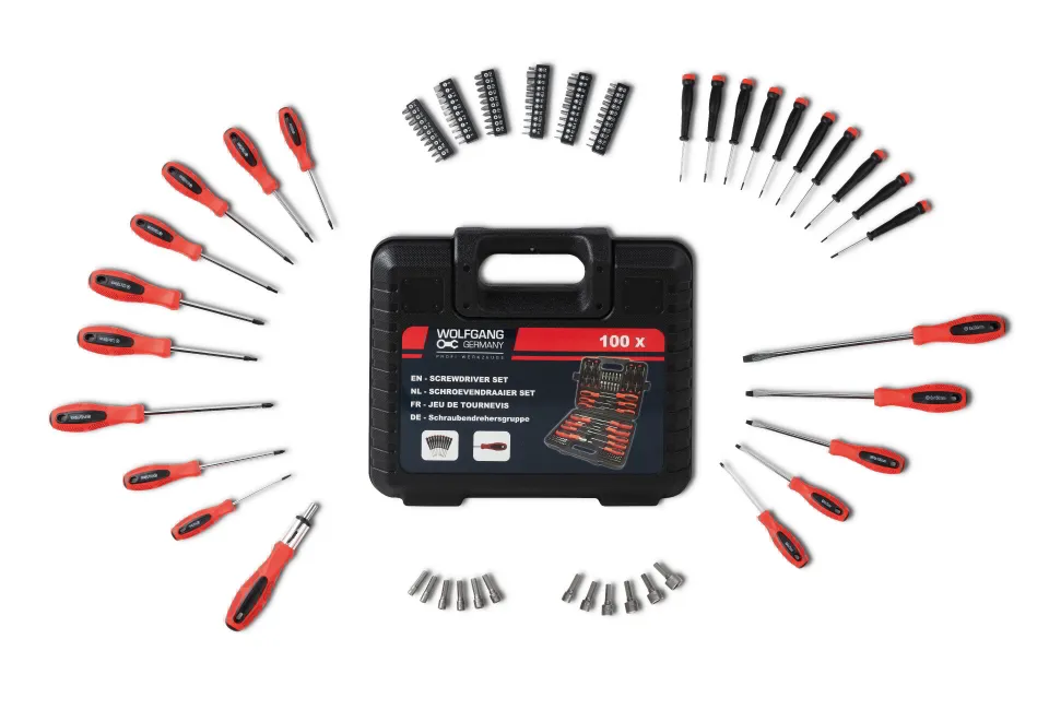 100-piece screwdriver set