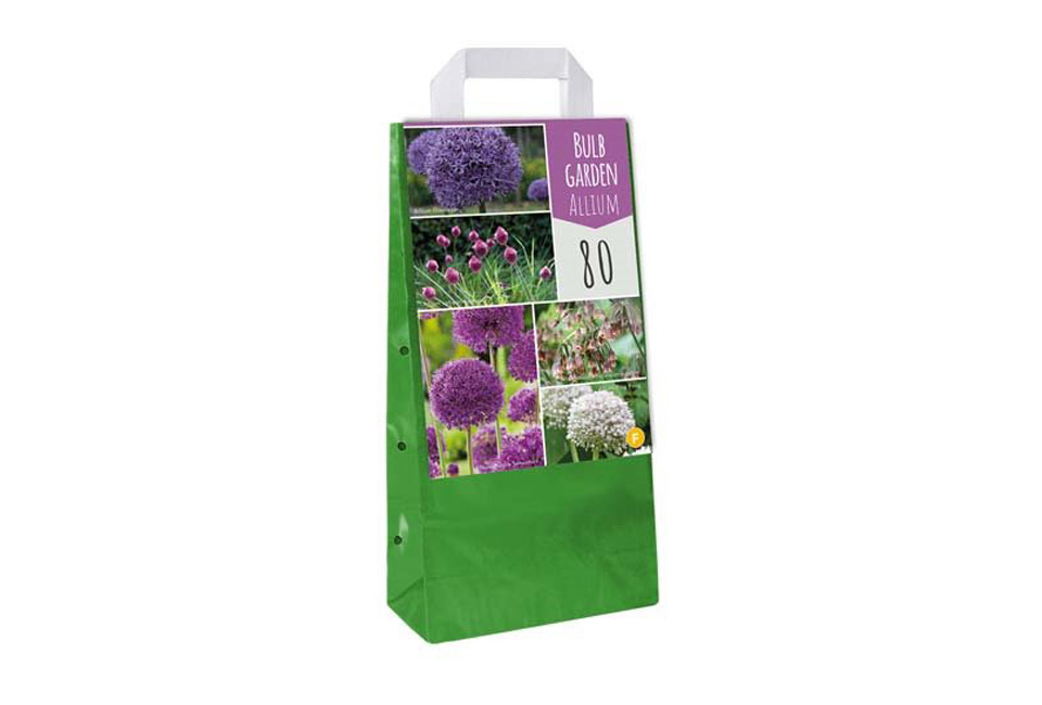 Set van 160 Allium bloembollen
