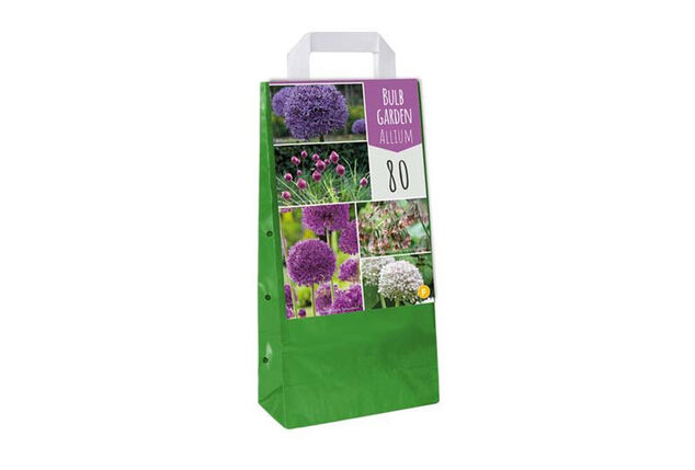 Set van 160 Allium bloembollen