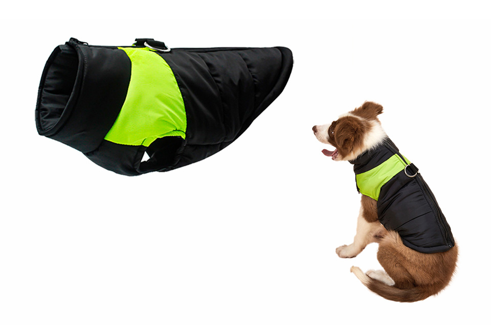 Manteau vert fluo pour chien Manteau pour chien vert