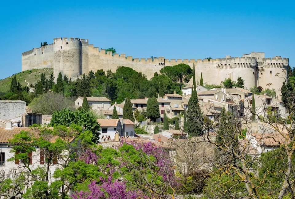 1, 2, 3, 4 ou 5 nuits &agrave; Avignon - H&ocirc;tel la Magnaneraie