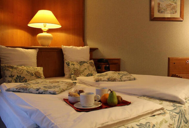 2, 3, 4 of 5 nachten aan de wijnroute van de Elzas - Hotel Le Mittelwihr***