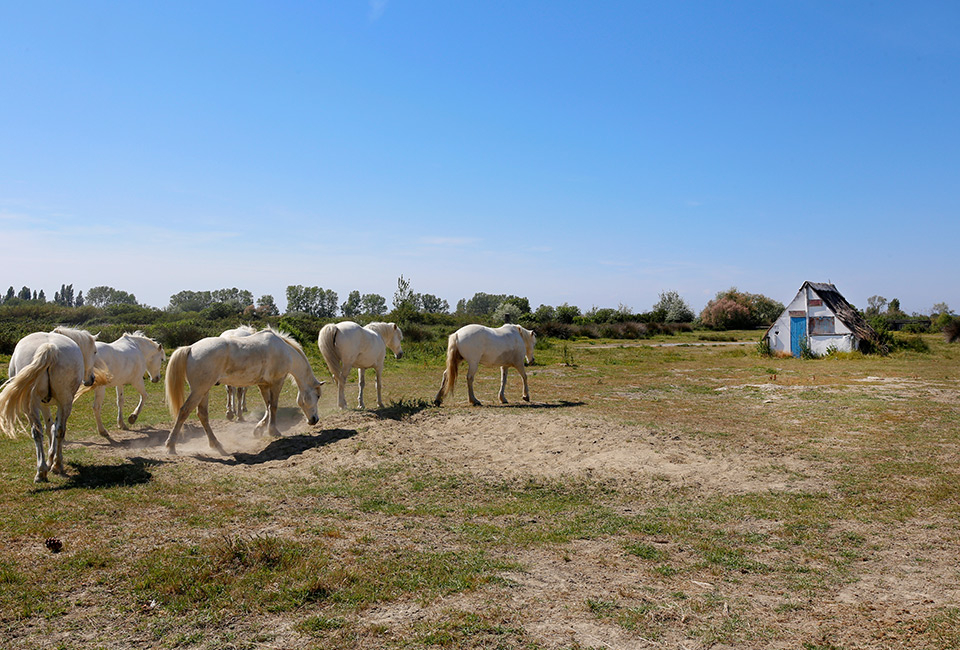 S&eacute;jour en all inclusive &agrave; Arles avec piscine ext&eacute;rieure