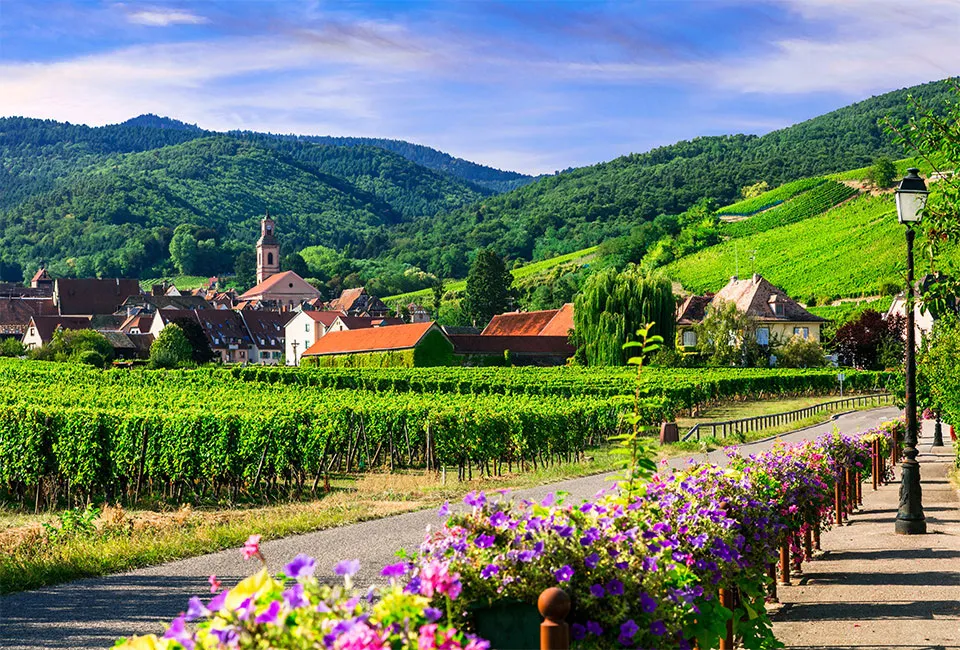 La Route des vins d&#039;Alsace