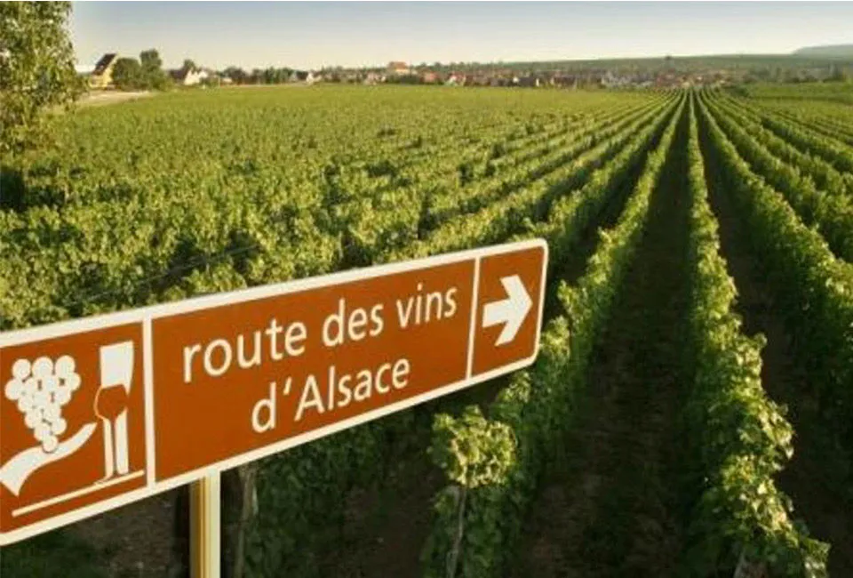 La Route des vins d&#039;Alsace
