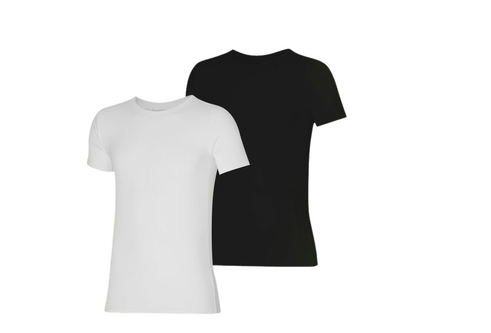 Two soft bamboo T-shirts