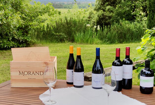 3, 5 o 7 notti nella paradisiaca Toscana con degustazione di vini - Villa la Grotta — 10