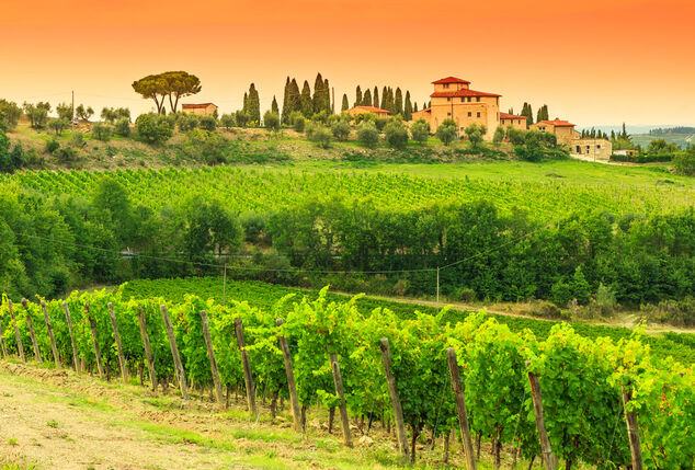 3, 5 o 7 notti nella paradisiaca Toscana con degustazione di vini - Villa la Grotta