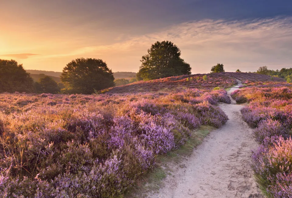 2, 3 ou 4 nuits dans la Veluwe - H&ocirc;tel Klein Zwitserland