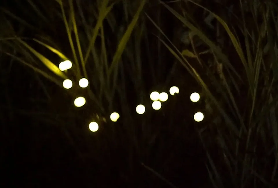 Firefly LED tuinverlichting - set van 2 stuks
