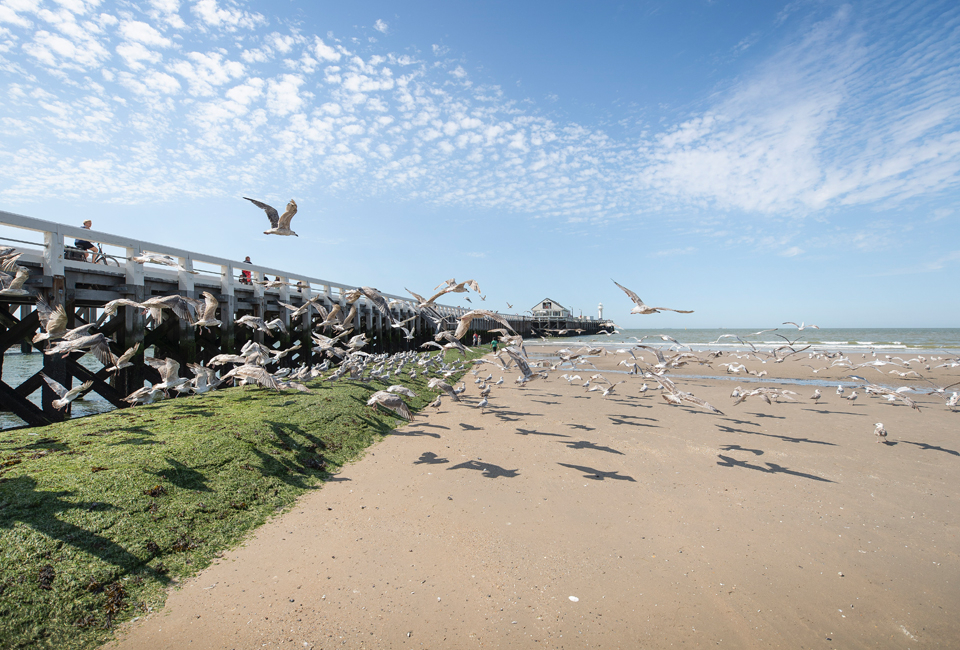 Luxeverblijf in Blankenberge