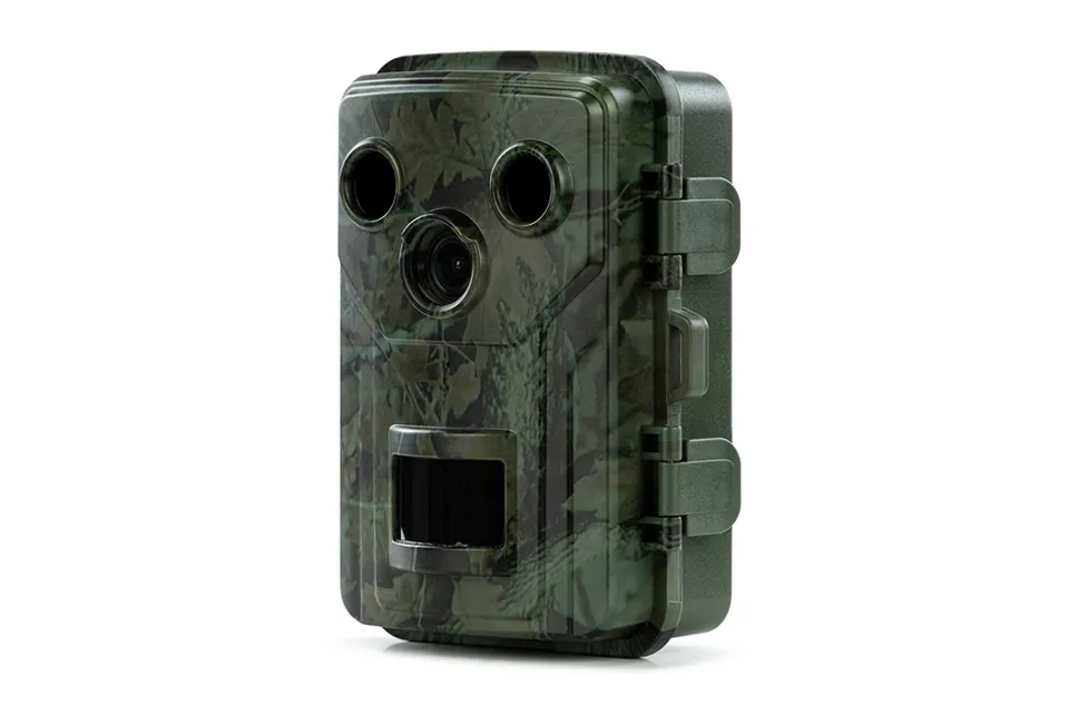 Wildlife camera with night vision
