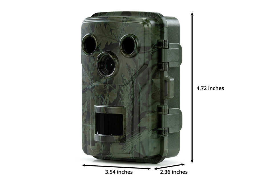 Wildlife camera with night vision