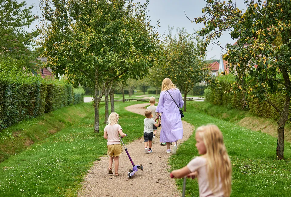 Familien-Mittwoche oder Wochenende in einem Ferienbauernhof in Nederlands Limburg