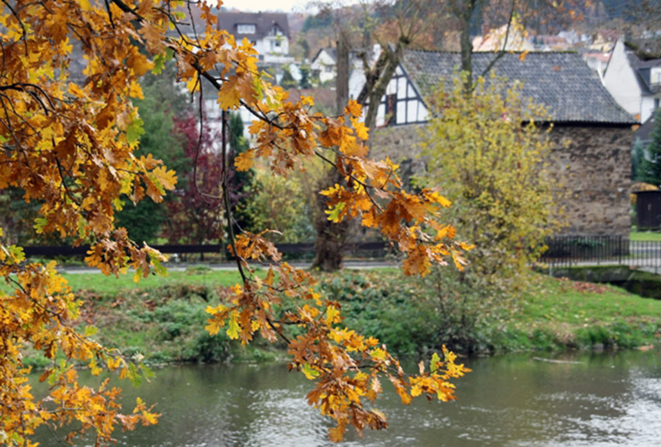 S&eacute;jour en demi-pension non loin de l&#039;Eifel