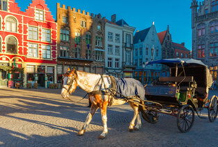 Séjour 4 étoiles de 2 nuits dans la magnifique ville de Bruges - Hôtel Velotel — 13