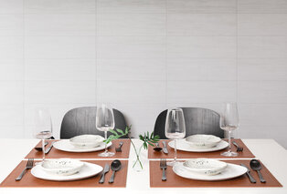 Conjunto de 6 individuais de mesa em pele falsa — 5