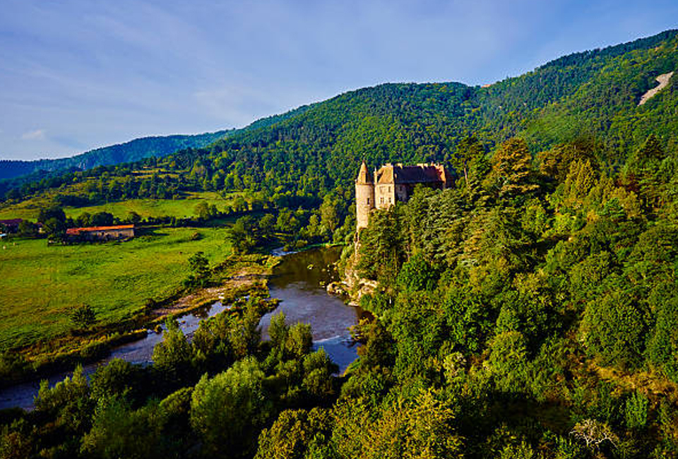 Séjour avec dîner (2, 3, 4, 5 ou 6 n.)  près des châteaux de la Loire - Hôtel Le Plantagenêt