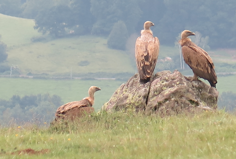 Natuur en cultuur in Frans Baskenland (Z-FR)