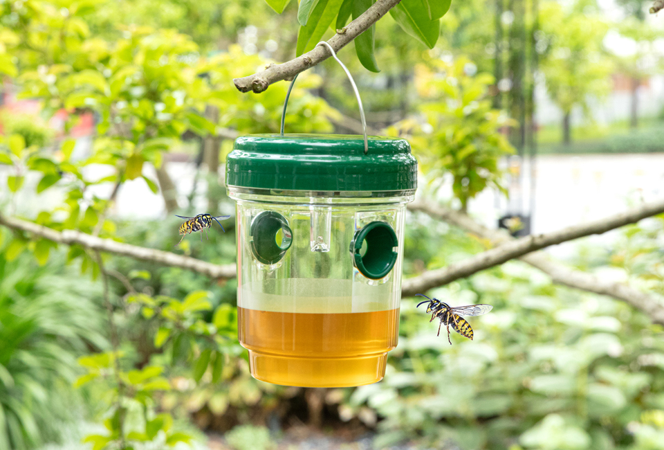 Set of 2 solar powered insect traps — Outspot