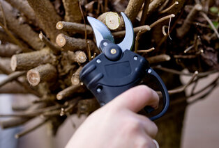 Sécateur électrique pour un jardin bien entretenu — 4