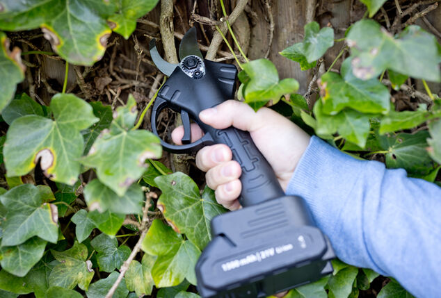 Sécateur électrique pour un jardin bien entretenu