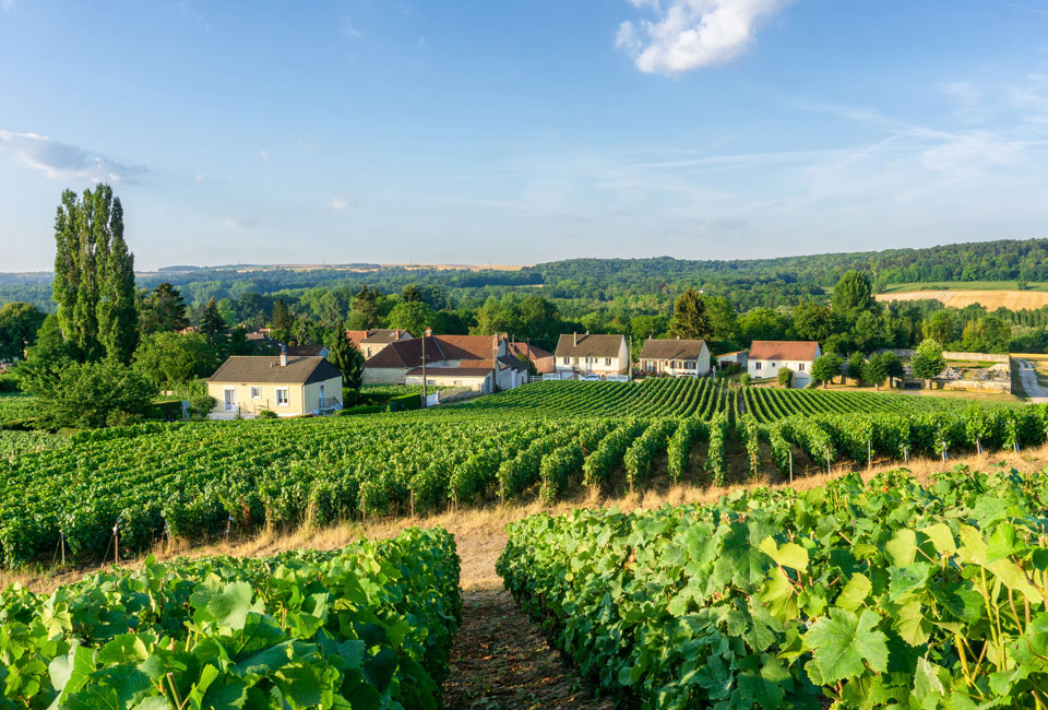 2 of 3 nachten genieten tussen de Franse wijngaarden in Champagne-Ardenne