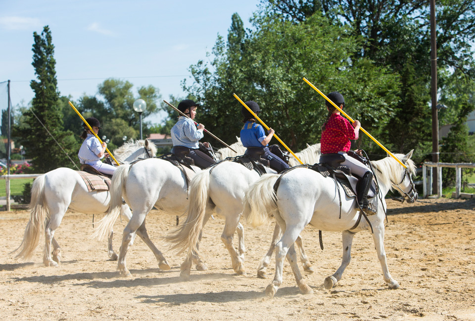 7 nuits en Camargue, dans le sud de la France