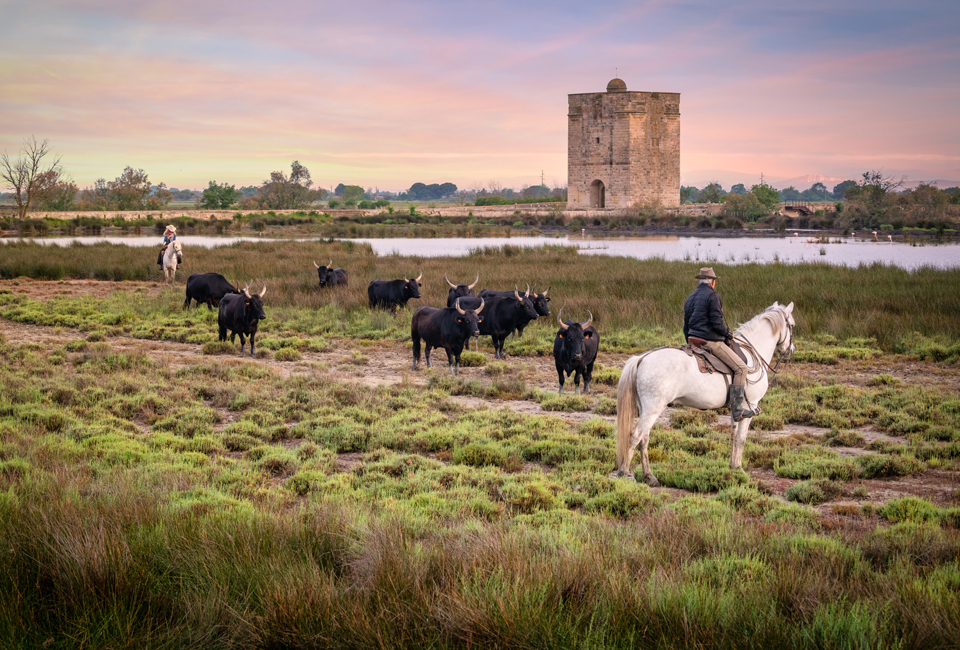 7 nuits en Camargue, dans le sud de la France