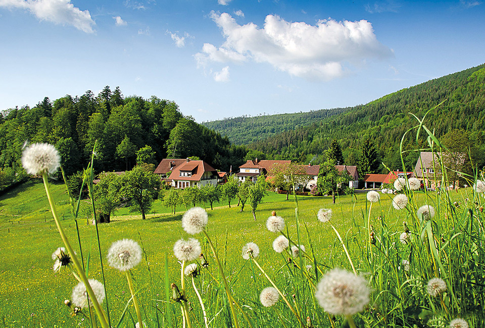 2, 3, 4 of 7 nachten halfpensionverblijf met wellness in het Zwarte Woud - Hotel Schwarzwald Panorama