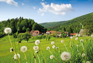 Séjour en demi-pension avec spa en Forêt-Noire