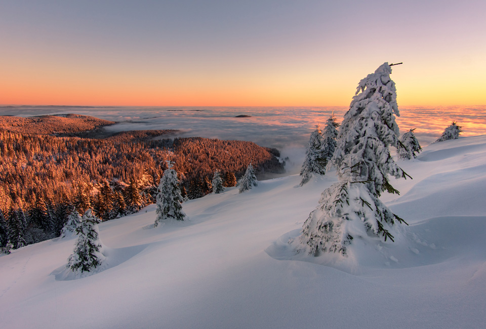 2, 3, 4 of 7 nachten halfpensionverblijf met wellness in het Zwarte Woud - Hotel Schwarzwald Panorama