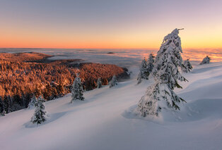 2, 3, 4 of 7 nachten halfpensionverblijf met wellness in het Zwarte Woud - Hotel Schwarzwald Panorama — 15