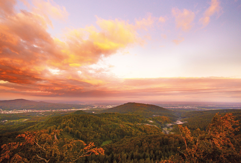 2, 3, 4 of 7 nachten halfpensionverblijf met wellness in het Zwarte Woud - Hotel Schwarzwald Panorama