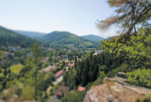 2, 3, 4 of 7 nachten halfpensionverblijf met wellness in het Zwarte Woud - Hotel Schwarzwald Panorama