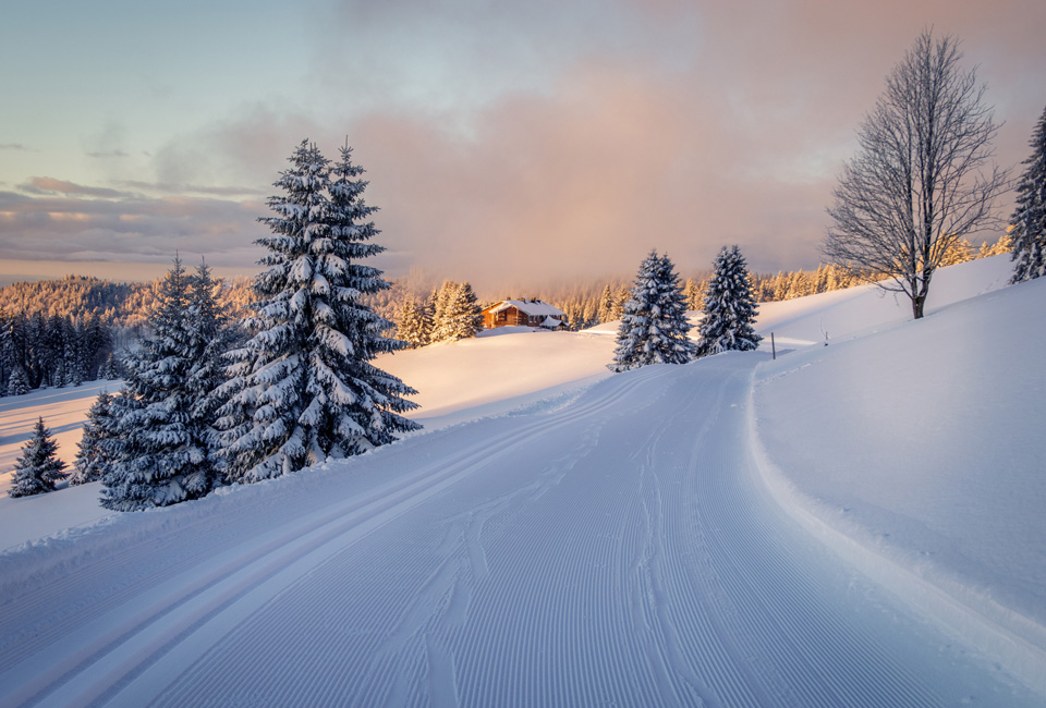 2, 3, 4 of 7 nachten halfpensionverblijf met wellness in het Zwarte Woud - Hotel Schwarzwald Panorama