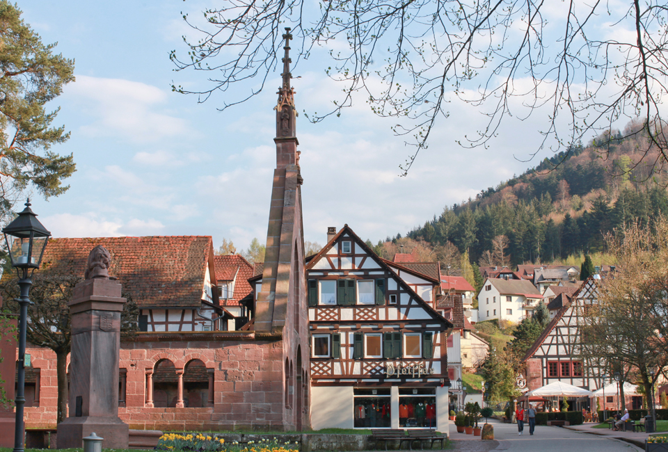 2, 3, 4 of 7 nachten halfpensionverblijf met wellness in het Zwarte Woud - Hotel Schwarzwald Panorama