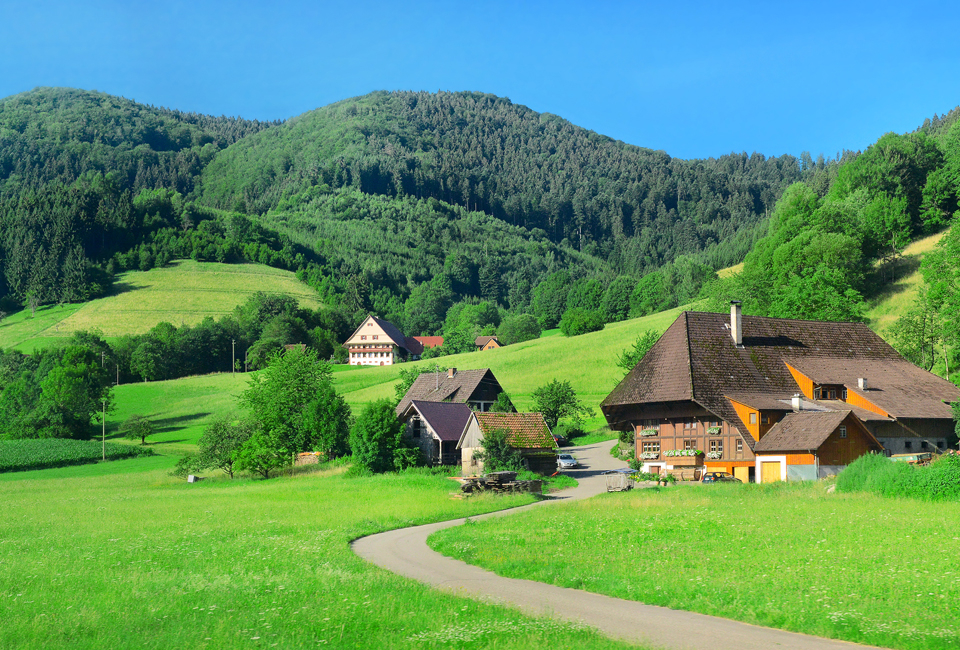 2, 3, 4 of 7 nachten halfpensionverblijf met wellness in het Zwarte Woud - Hotel Schwarzwald Panorama