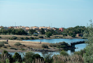 Séjour de 7 nuits en all-inclusive dans le Sud de la France - SOWELL HÔTELS Les Jardins du Cap — 16