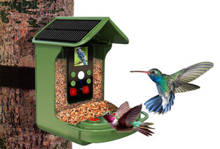 Slim vogelvoederhuisje met camera en sensor — 8