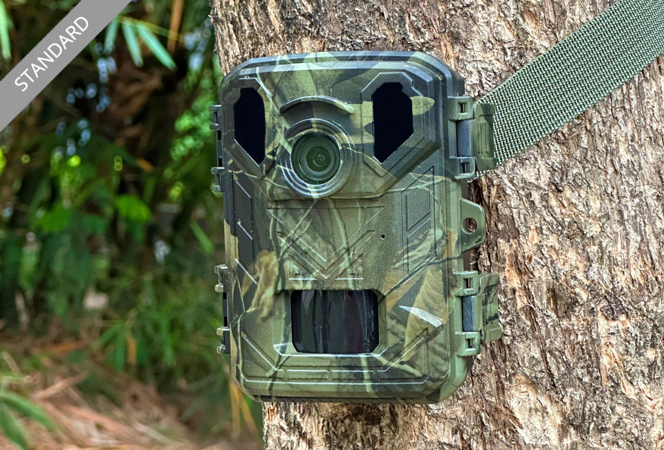 Wildcamera met nachtzicht