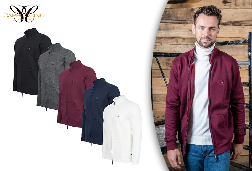 Pull en polaire avec ou sans capuche pour hommes