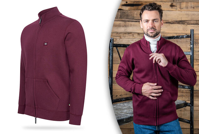 Pull en polaire avec ou sans capuche pour hommes