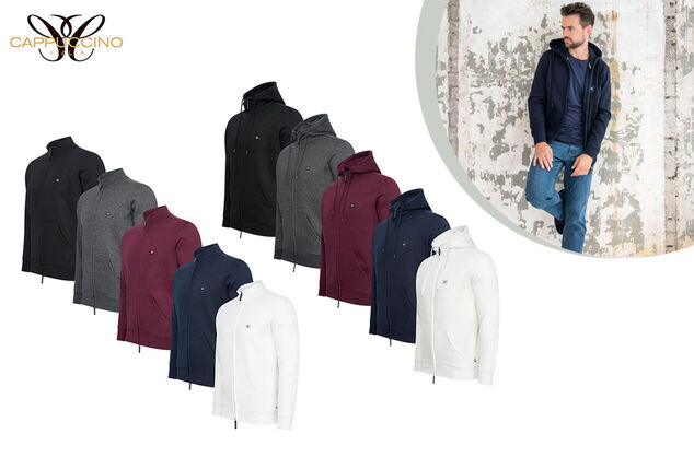 Pull en polaire avec ou sans capuche pour hommes