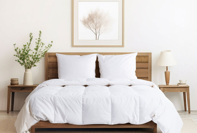Couette luxueuse toutes saisons avec 90 % de duvet de canard