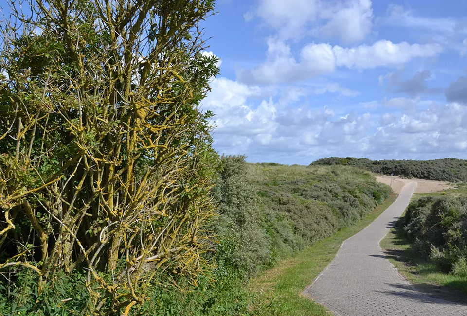 Zorgeloos verblijf in Zeeland dicht bij het zandstrand van Ouddorp (NL) 