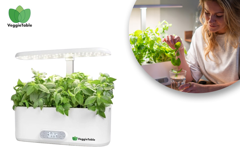 Odling inomhus med VeggieTable