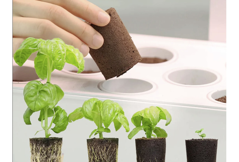 Odling inomhus med VeggieTable