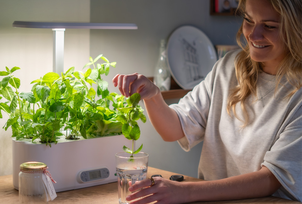 Odling inomhus med VeggieTable